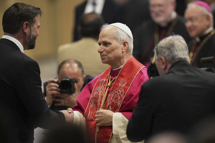 Pope Leo XIV meets with Vice President JD Vance after the formal inauguration of his pontificate at the Vatican on May 18. (AP Photo/Alessandra Tarantino)