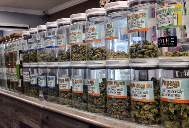 Jars of medical marijuana on display on at the Western Caregivers Medical dispensary in Los Angeles. (AP Photo/Richard Vogel, File)