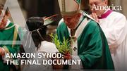 What's in the final document of the Amazon Synod? | Developing Story